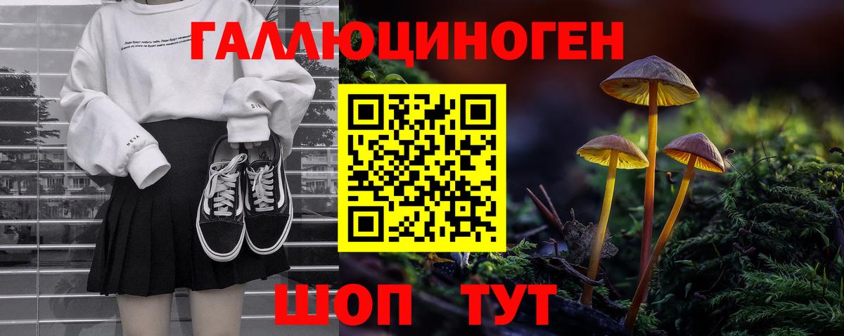 Галлюциногенные грибы Magic Shrooms  закладки  Кольчугино  Вход с VPN 